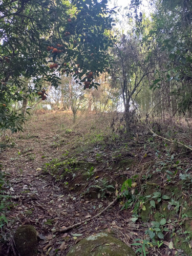 Chácara A Venda - Imagen 2