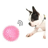 Bola X3 Pelota Juguete Perros Gatos Chillona Luz Led 8cm