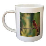 Taza De Plastico Aves 3 Ave Posada En Rama De Arbol