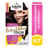 Tintes Palette Perfect Gloss - Ml  Tono 550 Canela Tentación