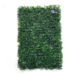 Jardín Vertical X 1 Plus 60x40 Muro Verde Césped- Net Party