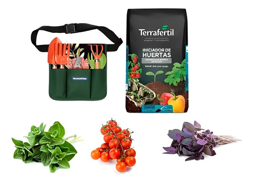 Set Jardineria Iniciador Huertas Menta Remolacha Coriandro