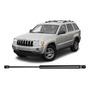 Gato Amortiguador Vidrio Trasero Jeep Grand Cherokee 05 - 10 Jeep Grand Cherokee