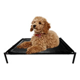 Promo 3 Catres Cucha Cama Para Perros Chicos 45 X 60 Cm