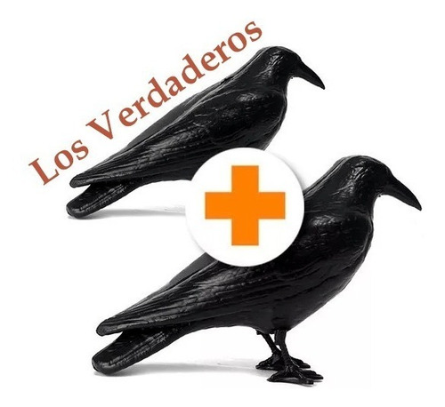 Cuervos Raven X 2 (originales) Ahuyenta Plagas De Palomas