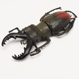 Begetto Simulation Beetle, Modelo Especial De Insecto Realis