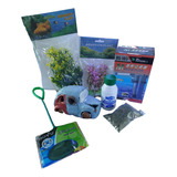 Kit Equipamiento Pecera Agua Fria 20 A 40 Litros Completo