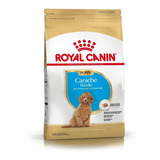 Alimento Royal Canin Breed Health Nutrition Caniche Para Perro Cachorro Sabor Mix En Bolsa De 3 kg