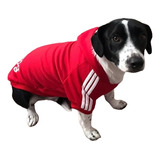 Sudadera Para Perrito Con Capucha Forma Deportiva 12 - 16kg