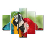 Cuadro Decorativo Canvas 5pz 170x100 Guacamayas Pareja