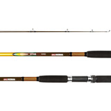 Caña Pesca Variada Waterdog Senna 2,4 M Acciòn Pesada 40-80g