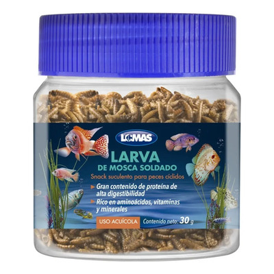 Tenebrio Alimento Seco Vivo Larva Mosca Soldado Para Peces | Meses sin interés