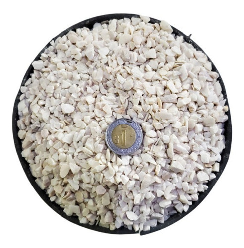 Roca Decorativa Cactus Y Suculentas Blanca 3mm A 5mcm 10kg