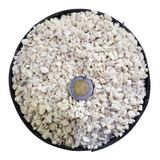 Roca Decorativa Cactus Y Suculentas Blanca 3mm A 5mcm 10kg