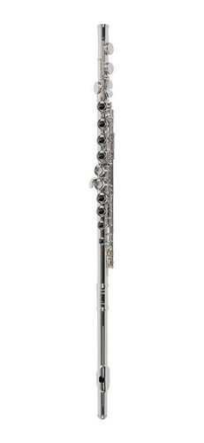 Flauta Vogga Vsfl701n Niquelada