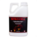 Nitro Cell 5 L Pecon Ganho De Massa Muscular Em Equino/potro
