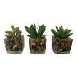 Arranjo 3 Suculentas Plantas Artificial Vaso Vidro Mix Tuut