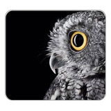 Mouse Pad Diseño Lechuza Notebook Pc Personalizado 531