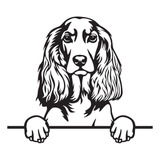 Cuadro Decorativo Spaniels English Cocker Mdf 3 Mm