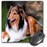 Mouse Pad Dibujo Collie Pelo Aspero 8 X 8 Pulgadas