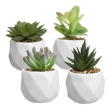 Mygift Mini Plantas Suculentas Falsas Surtidas En Macetas D.