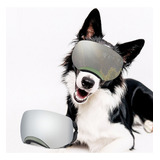 Lentes De Sol Grandes Con Protección Uv Para Perros