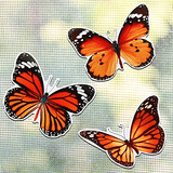 Imán Decorativo Doble Con Forma De Mariposa Para Nevera, 6 U