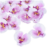 Cabezas De Flores De Orquídeas Artificiales De 3.5 In, Paque