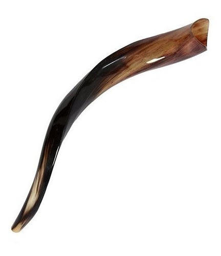 1 Kudu Yemenite Cuerno Shofar Kosher Todos Los Pulido Aprox 