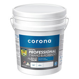 Pintura Professional 1a Mano - Unidad a $287999