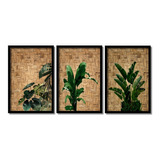 Quadros Decorativos Folhagens E Palha 3  Quadros Grandes