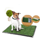 Bandeja Sanitaria Baño Mascotas Cesped Perro 55 X 28