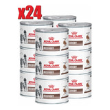 24 Latas Recovery Royal Canin 145g
