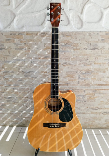 Guitarra Electroacústica Stingrey Modelo Fg979tvn Usada