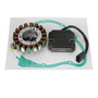 Set Stator Plate + Volante Kick Start Pit Pro De 110 Cc Y 12