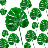 12 Folhas De Costela De Adão Artificial Tamanho Grande