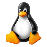 Instalacion De Sistema Linux En Notebook, Pc