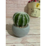 Mini Maceta Cactus Redondo Casaideas