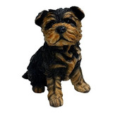 Figurina Exterior Cachorro Yorkshire Terrier  Sargento York 