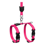 Peitoral Com Guia Para Gatos Anymous Lumini Fluorescente Cor Rosa