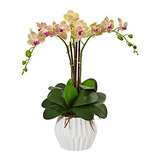 Arreglo De Seda Phalaenopsis Casi Natural, Crema - Orquídea