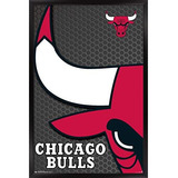 Nba Chicago Bulls - Logo 14 Wall Poster, 14.725  X 22.3...