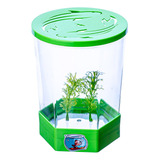 Beteira Para Peixe Betta Aquário 1,4l Cor Verde 110v