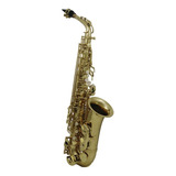 Roy Benson As-202g Saxofon Alto Eb Lato Llave F# Agudo Laca