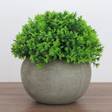 Vaso Com Planta Permanente Mini Arbusto Rústico Decorativo 