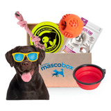 Mascobox Primavera Juguete Bebedero Snacks Perro