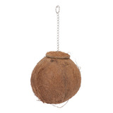 Balacoo Coco Hideaway Natural Pajaro Reptil Coco Shell Casa