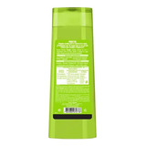 Shampoo Anticaspa Garnier Fructis Graso 350ml 
