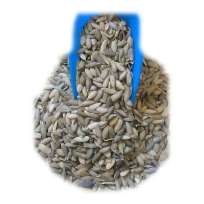Pepita De Calabaza Pelada (1 Kilo)