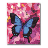Pintura,cuadro Para Pintar Por Números Enmarcado , Mariposa